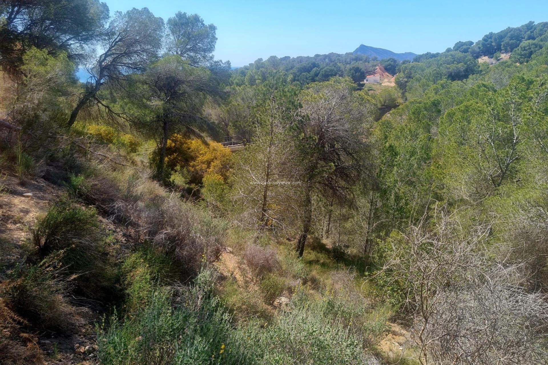 Herverkoop - Commercial Property - Altea - Altea Centro