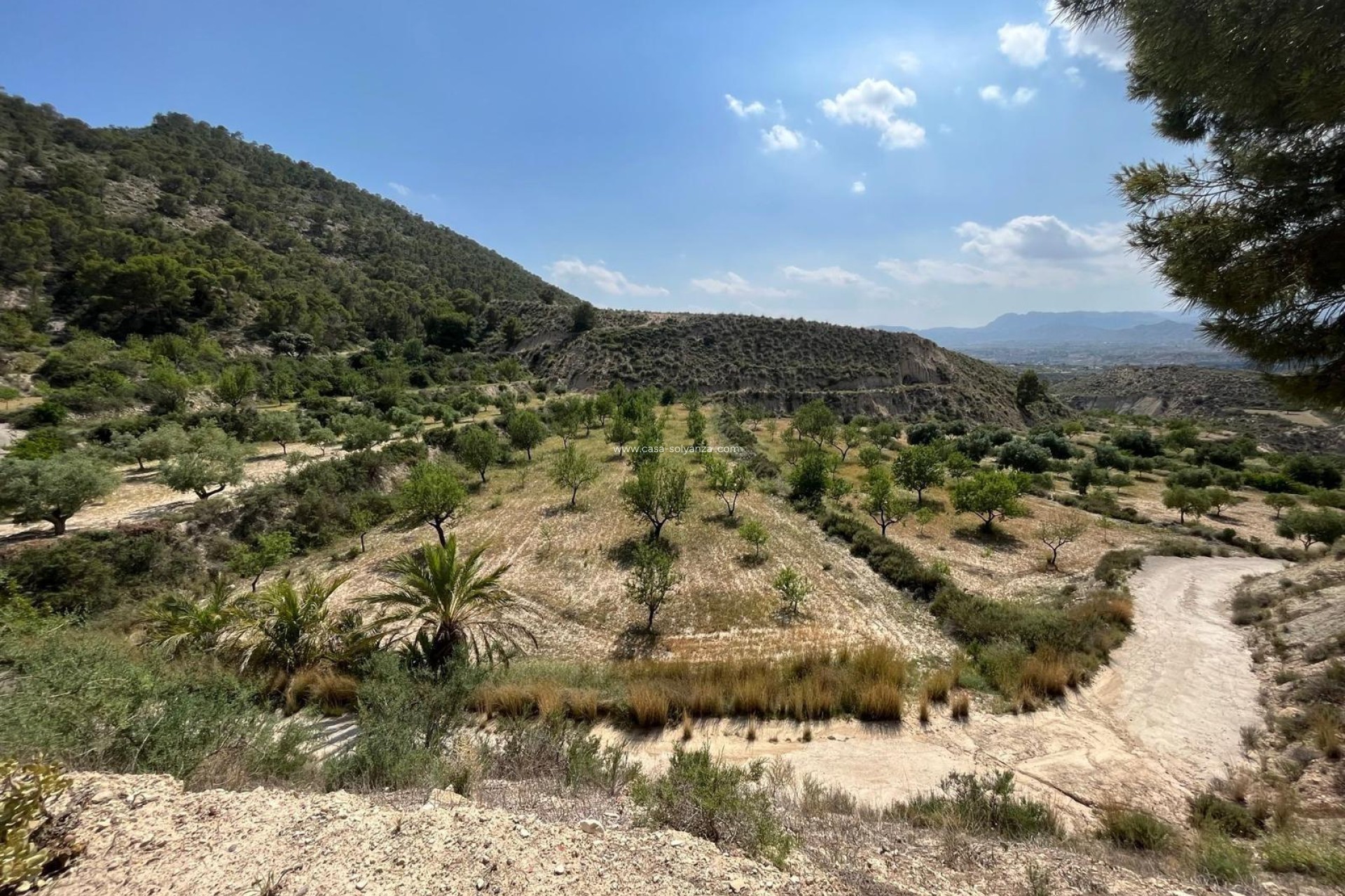 Herverkoop - Country Property/Finca - Abanilla - El Partidor