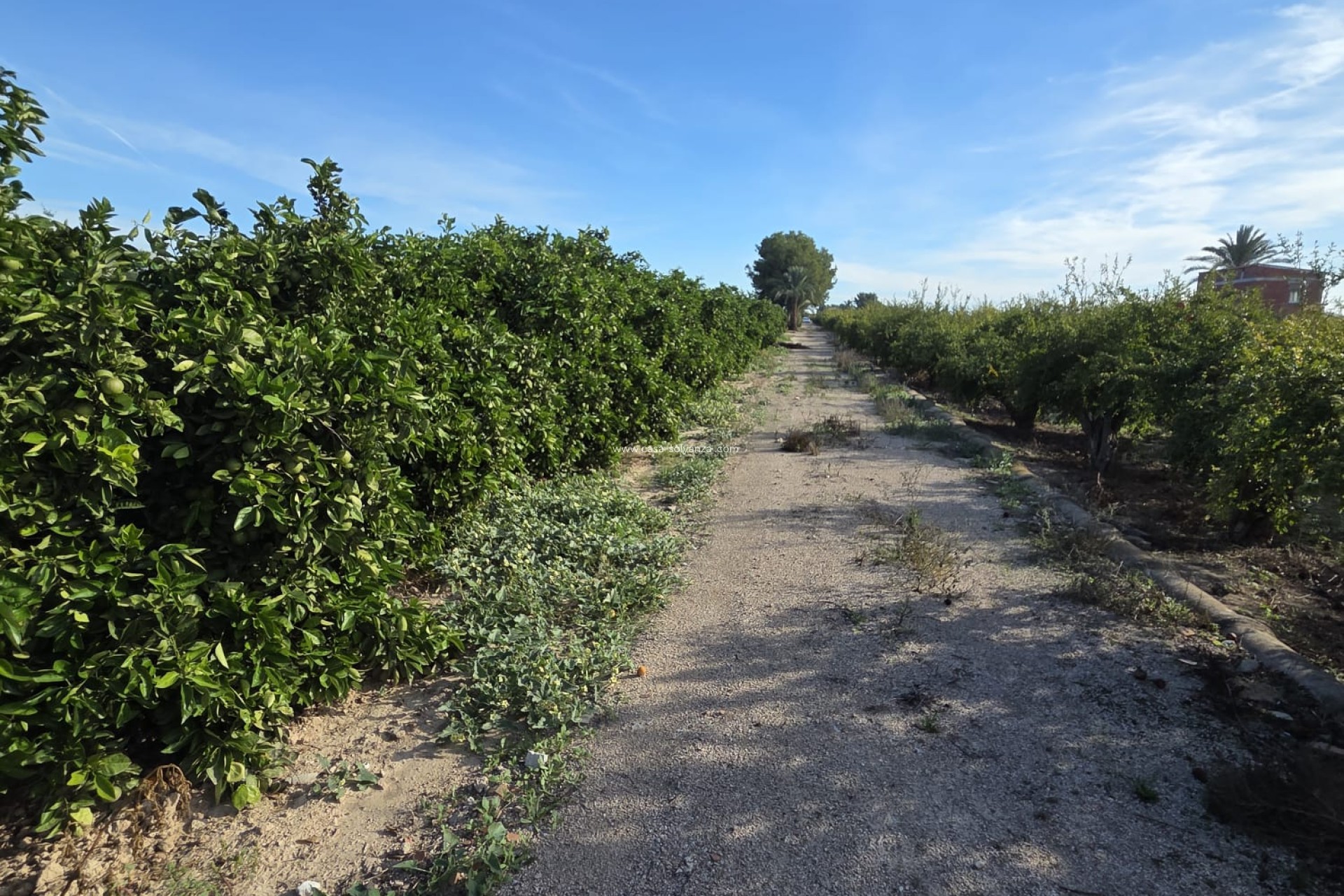 Herverkoop - Country Property/Finca - Albatera