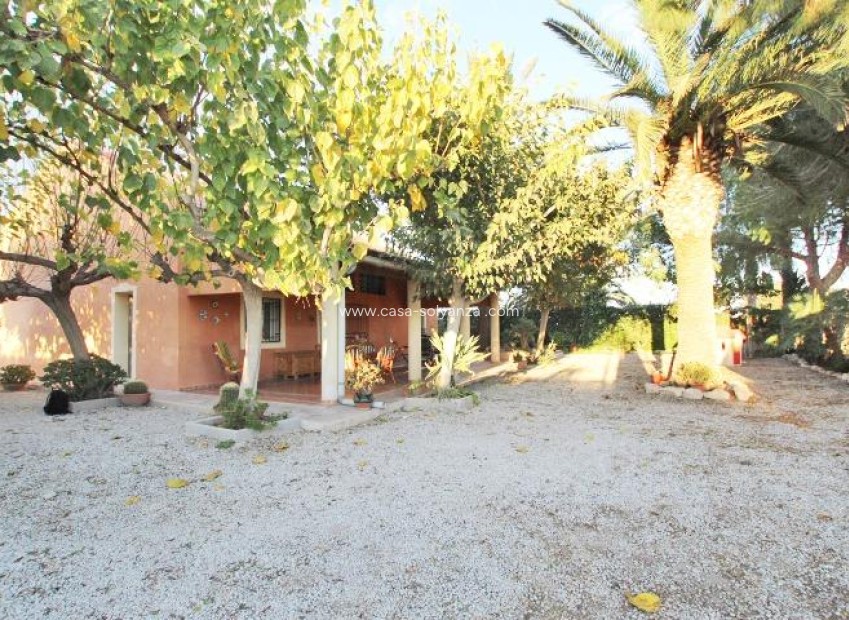 Herverkoop - Country Property/Finca - Almoradí - Comunidad Valenciana