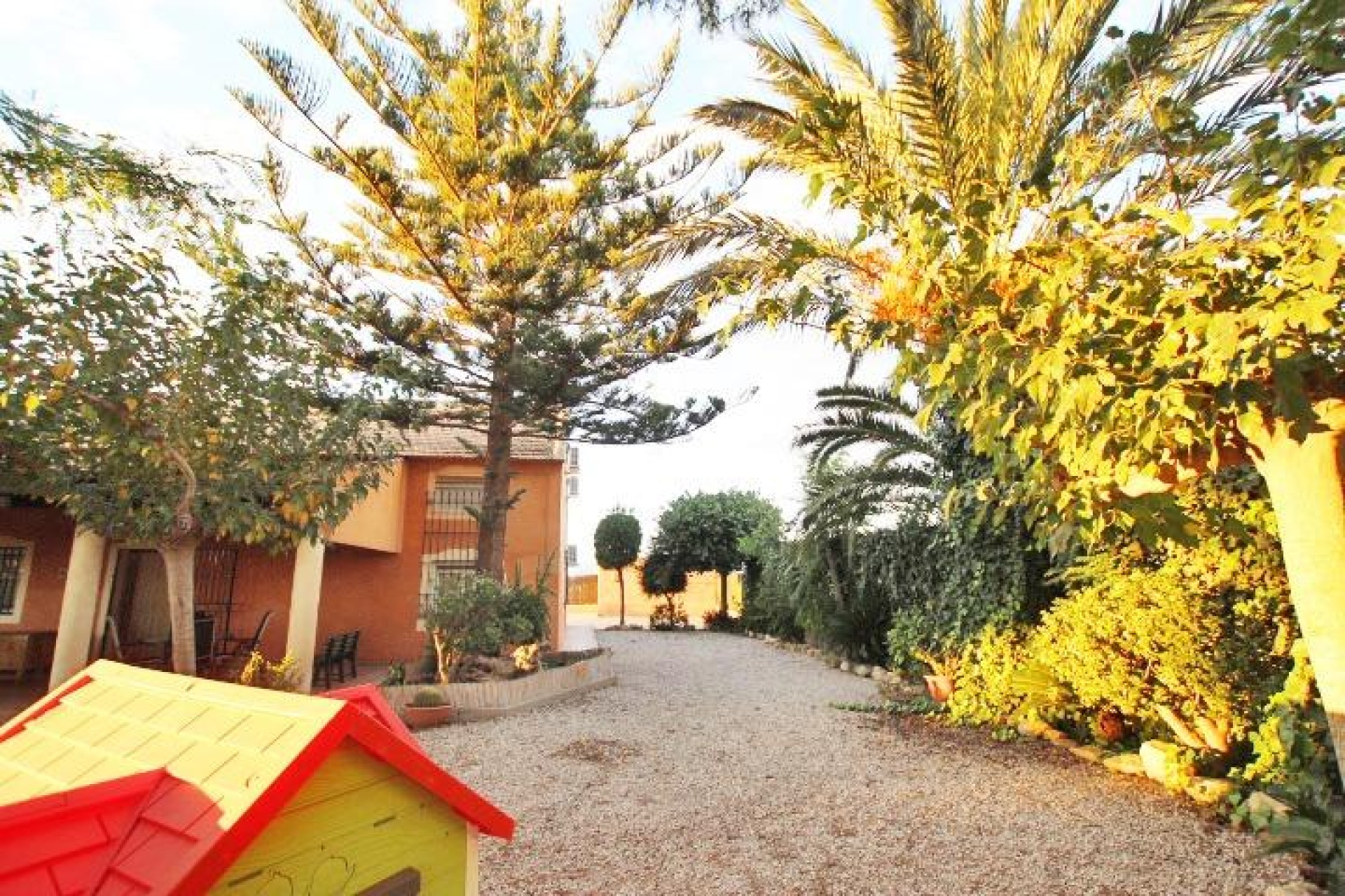 Herverkoop - Country Property/Finca - Almoradí - Comunidad Valenciana