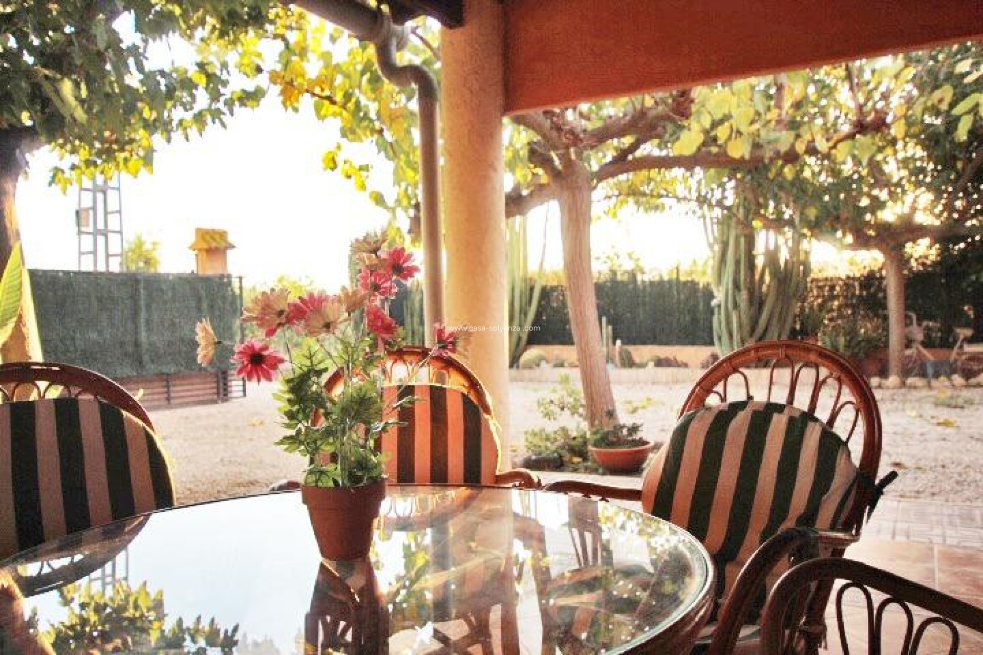 Herverkoop - Country Property/Finca - Almoradí - Comunidad Valenciana