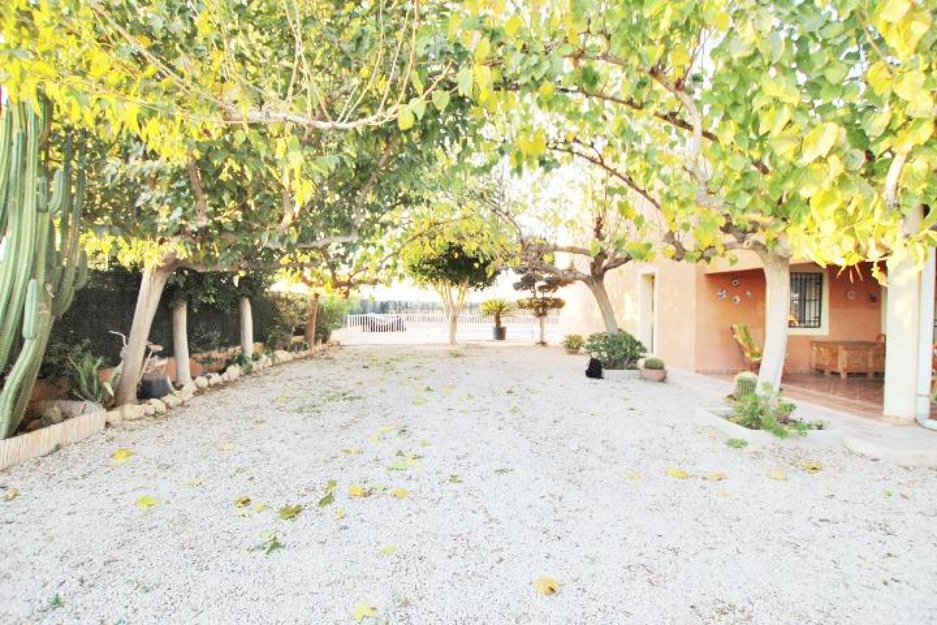 Herverkoop - Country Property/Finca - Almoradí - Comunidad Valenciana