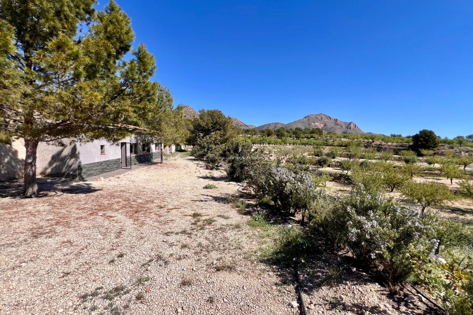 Herverkoop - Country Property/Finca - Barinas - Inland