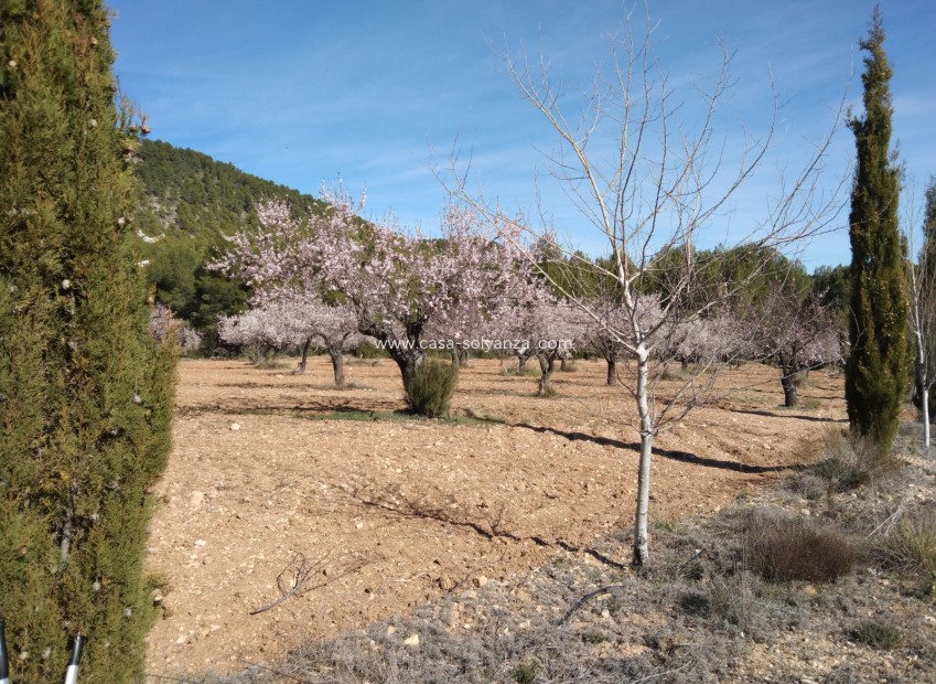 Herverkoop - Country Property/Finca - Bullas