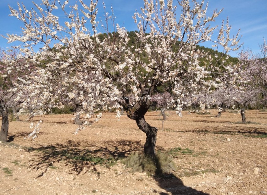 Herverkoop - Country Property/Finca - Bullas