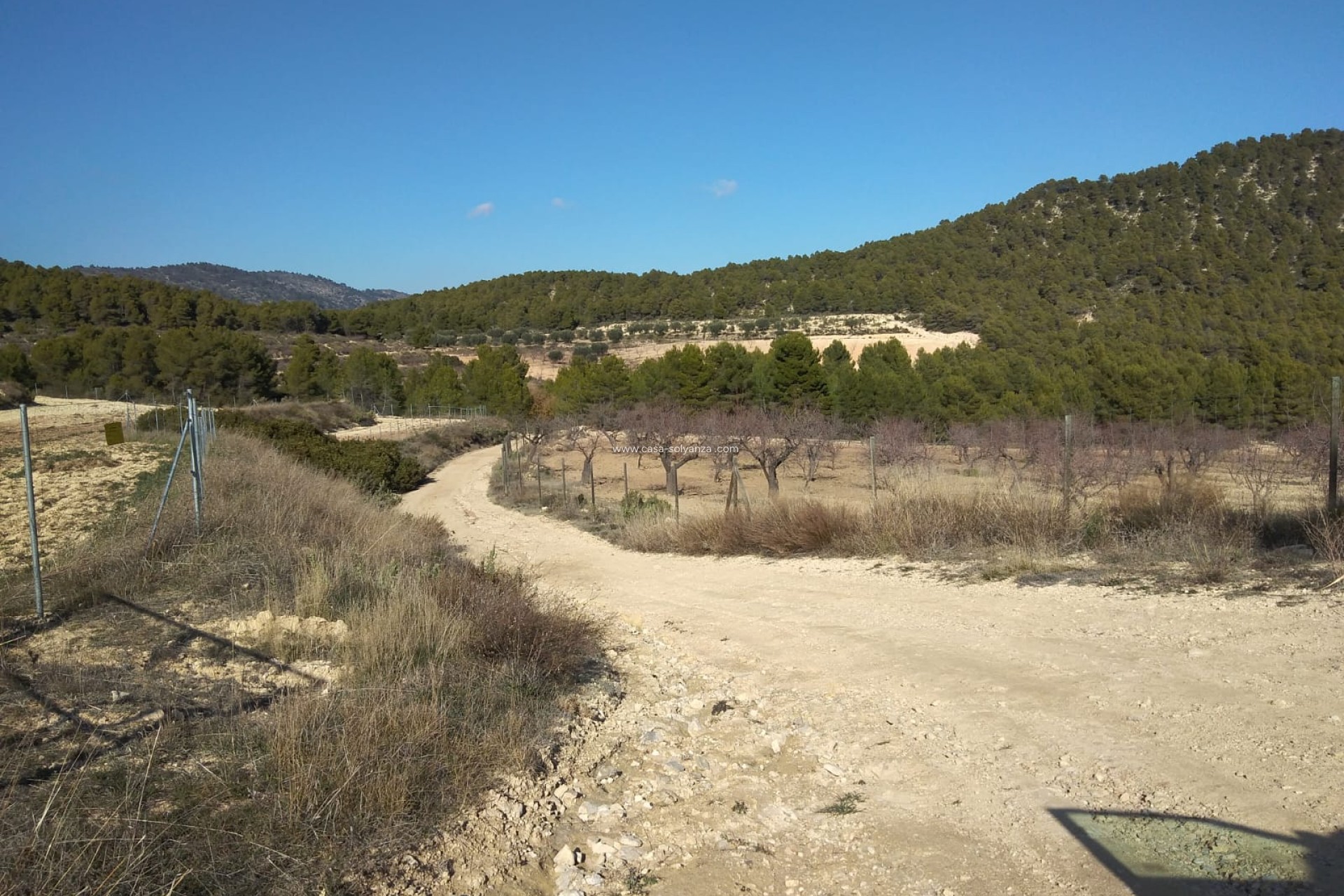 Herverkoop - Country Property/Finca - Bullas