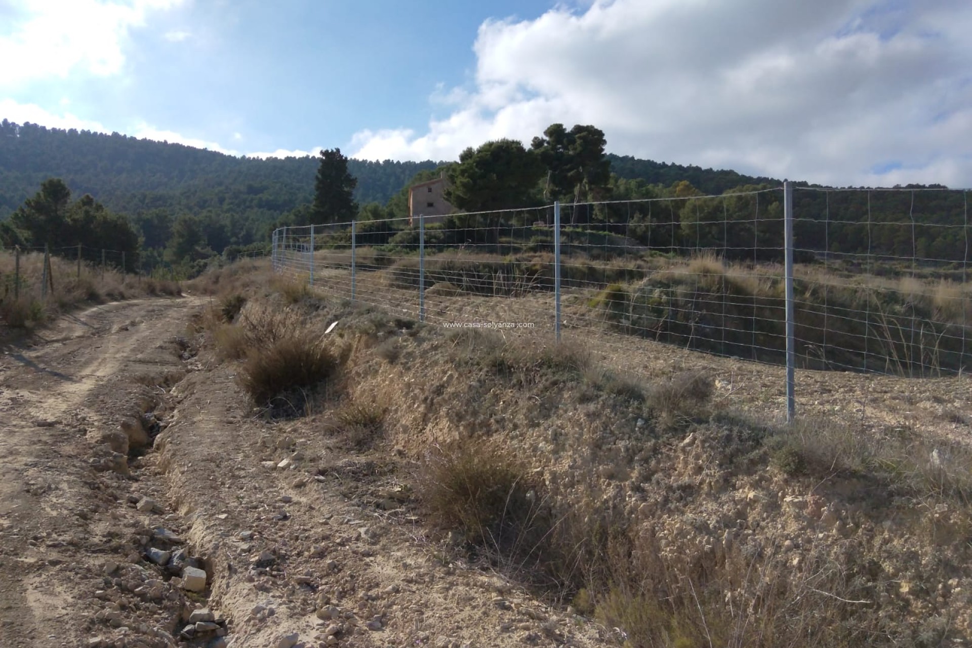 Herverkoop - Country Property/Finca - Bullas