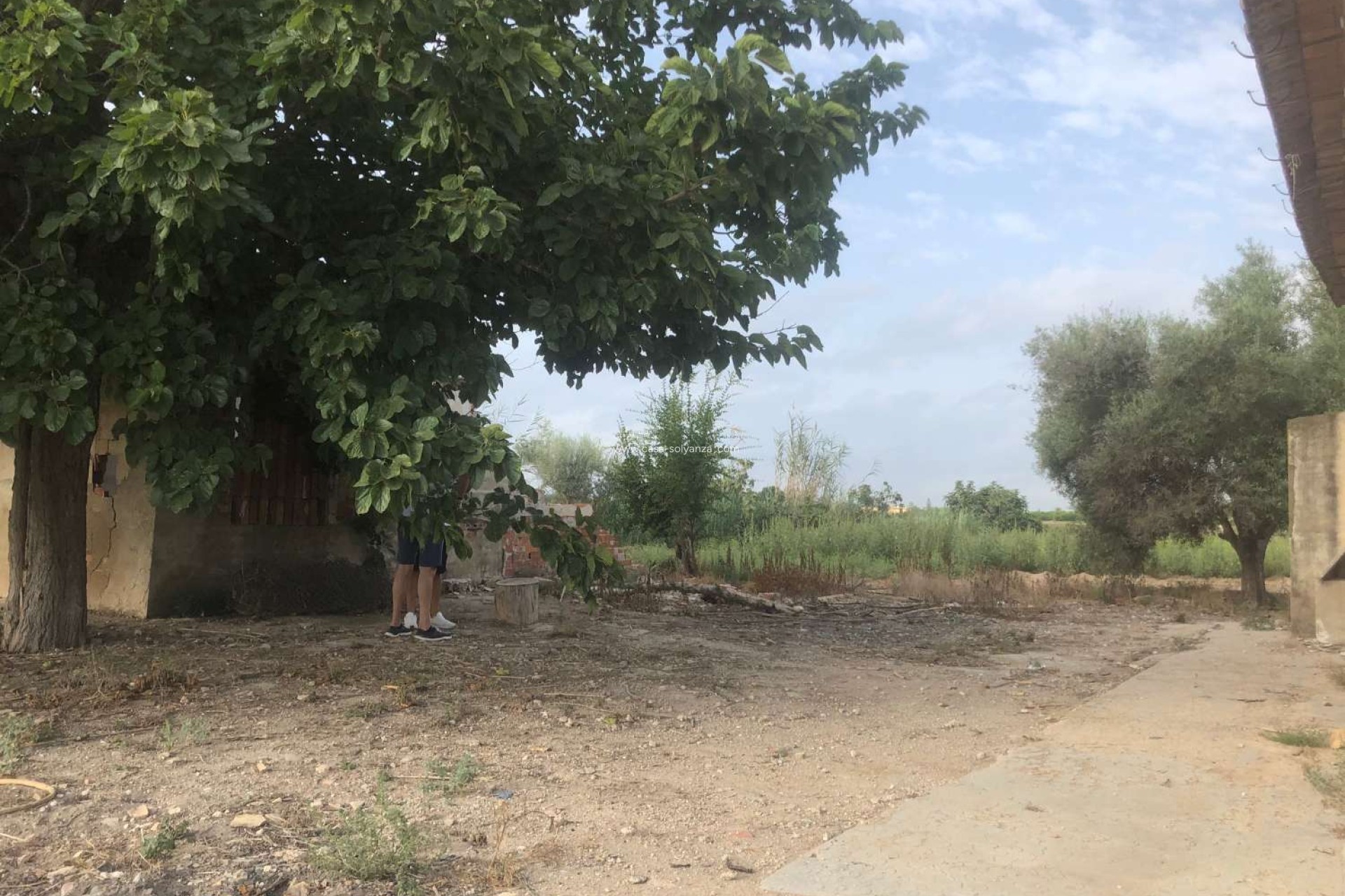 Herverkoop - Country Property/Finca - Callosa de Segura - Callosa De Segura