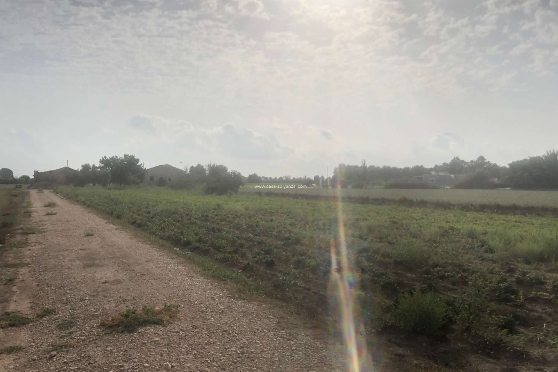 Herverkoop - Country Property/Finca - Callosa de Segura - Callosa De Segura