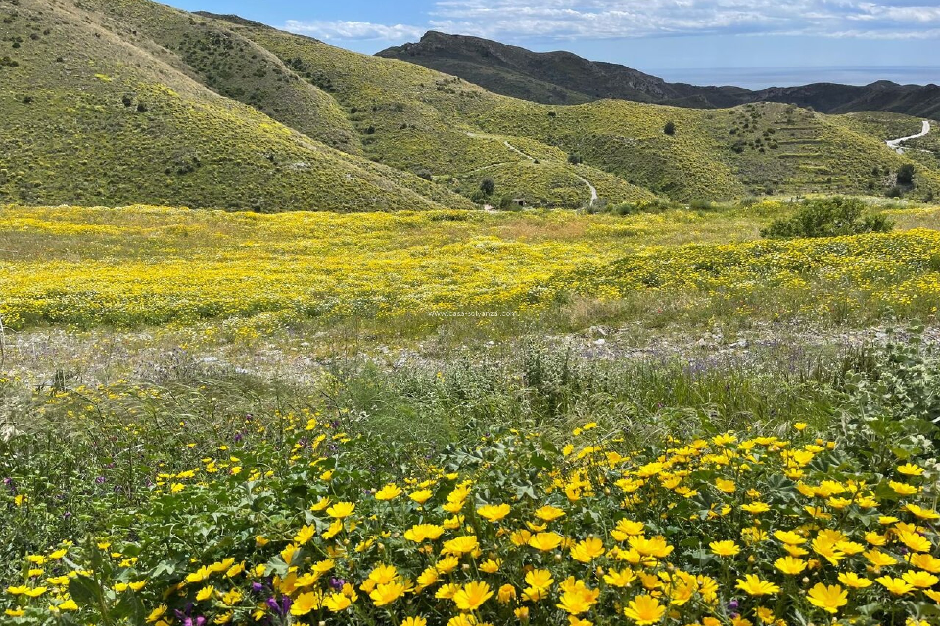 Herverkoop - Country Property/Finca - Cartagena - Costa Calida