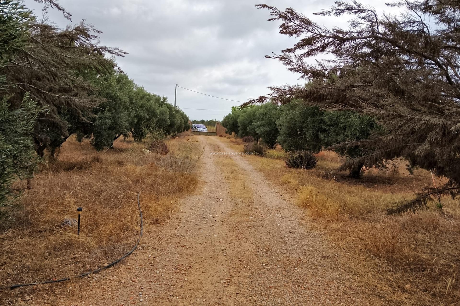 Herverkoop - Country Property/Finca - Cartagena - La Magdalena