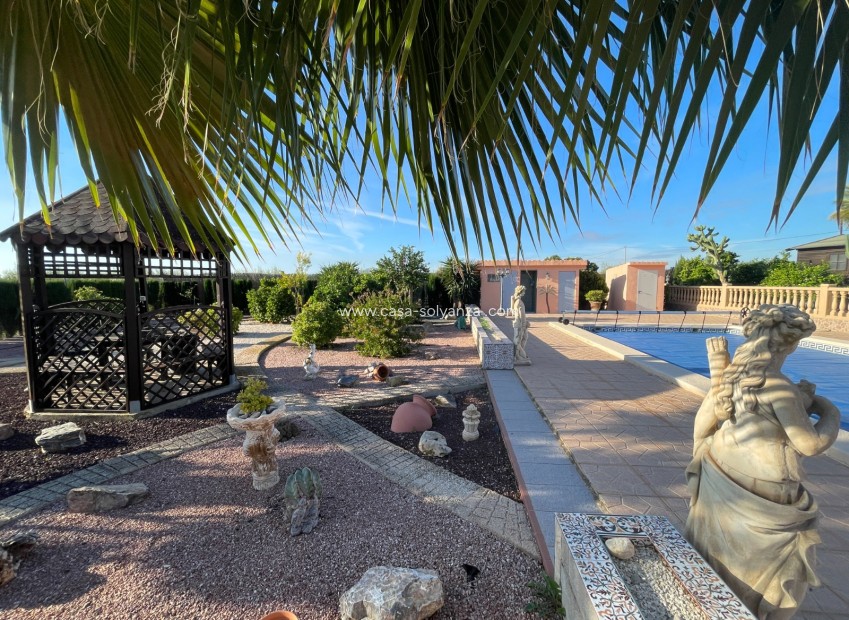 Herverkoop - Country Property/Finca - Crevillente - Inland