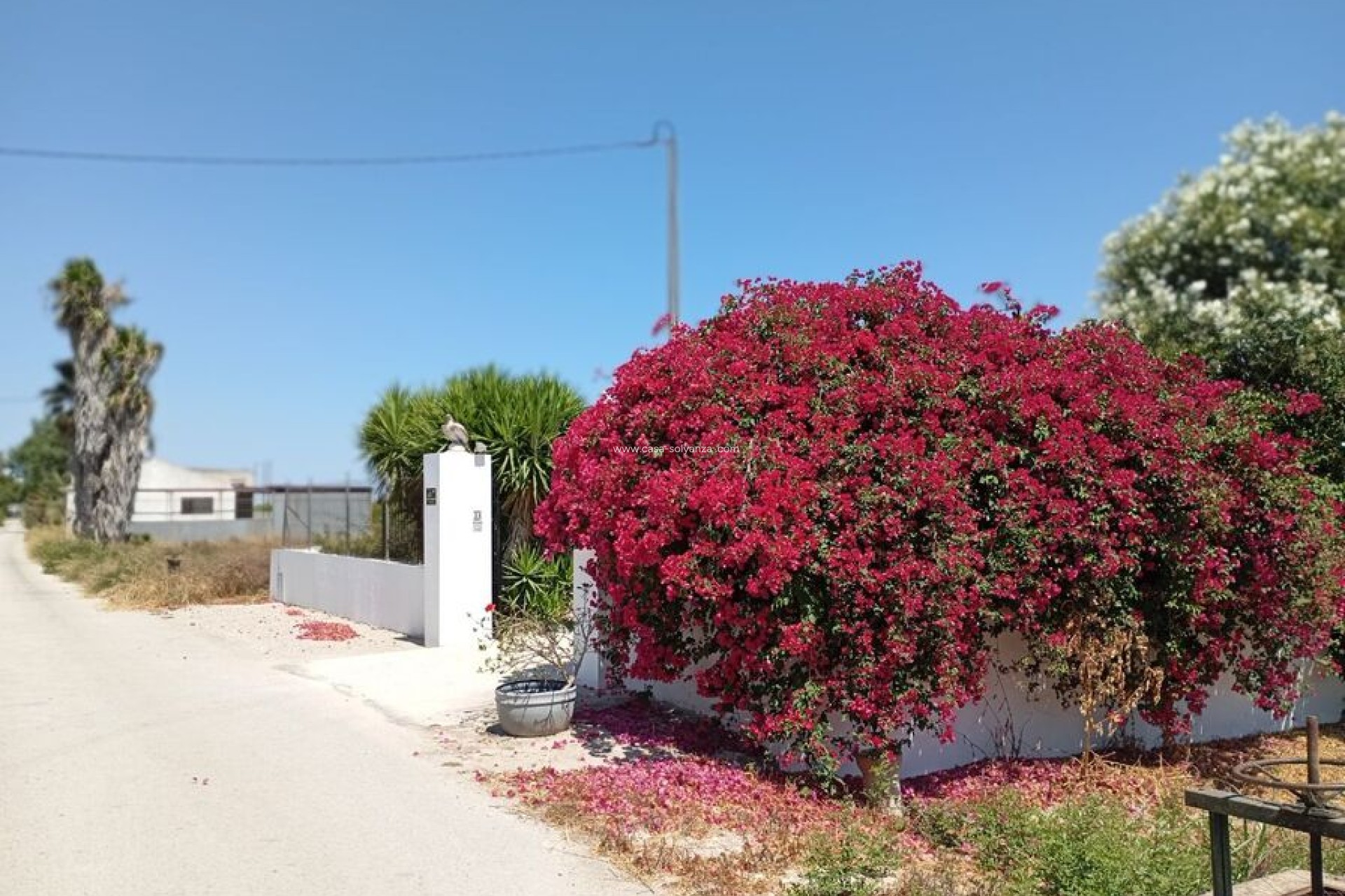 Herverkoop - Country Property/Finca - Daya Nueva - Costa Blanca