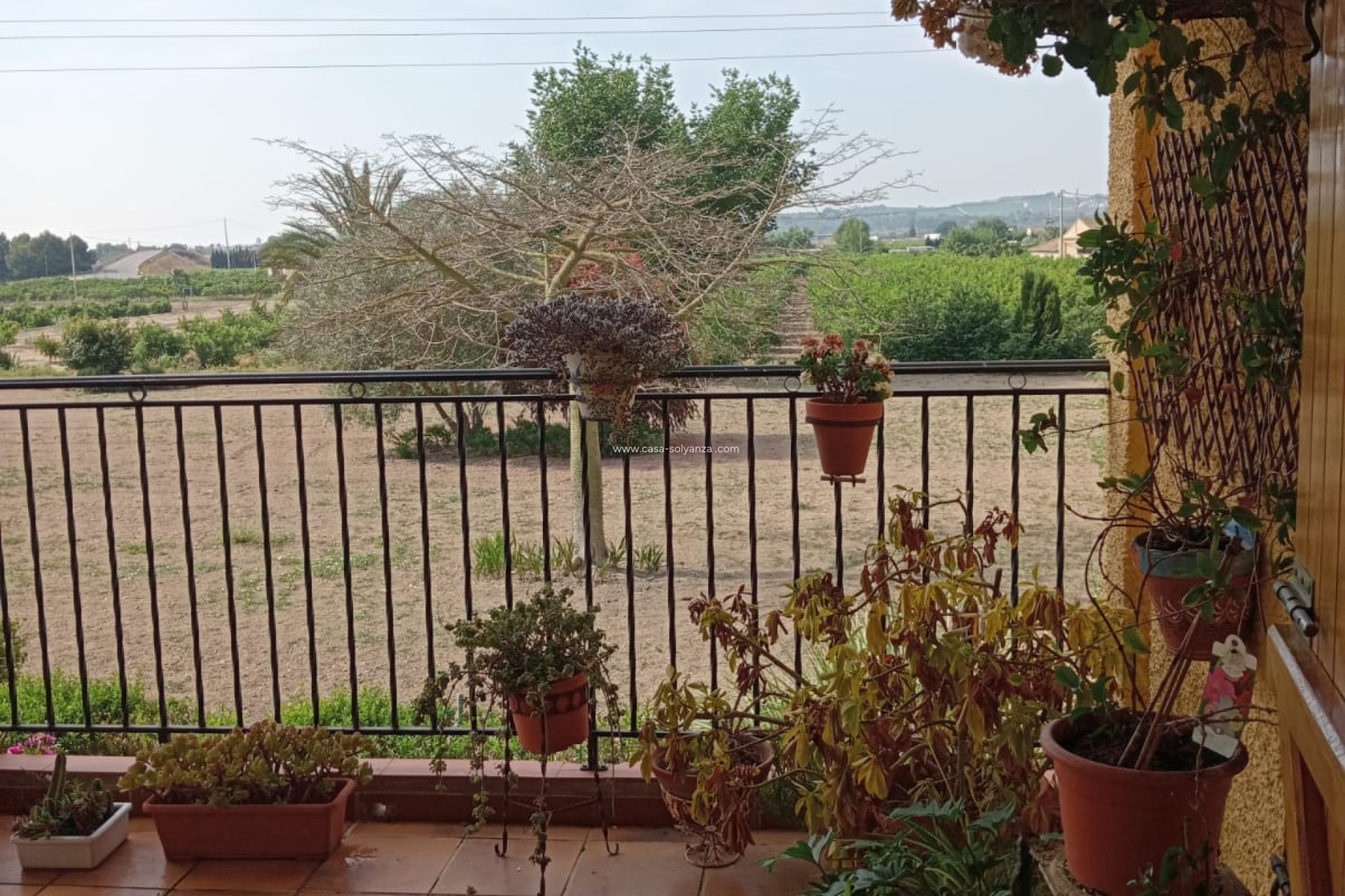 Herverkoop - Country Property/Finca - Daya Nueva