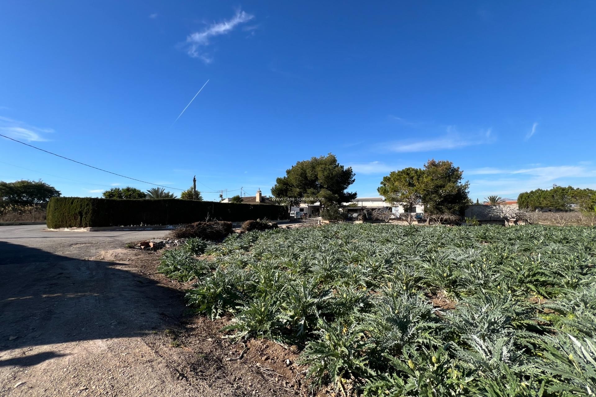 Herverkoop - Country Property/Finca - Dolores - Camino De La Cebada