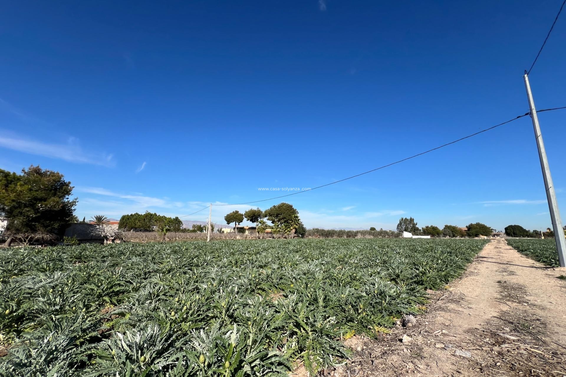 Herverkoop - Country Property/Finca - Dolores - Camino De La Cebada