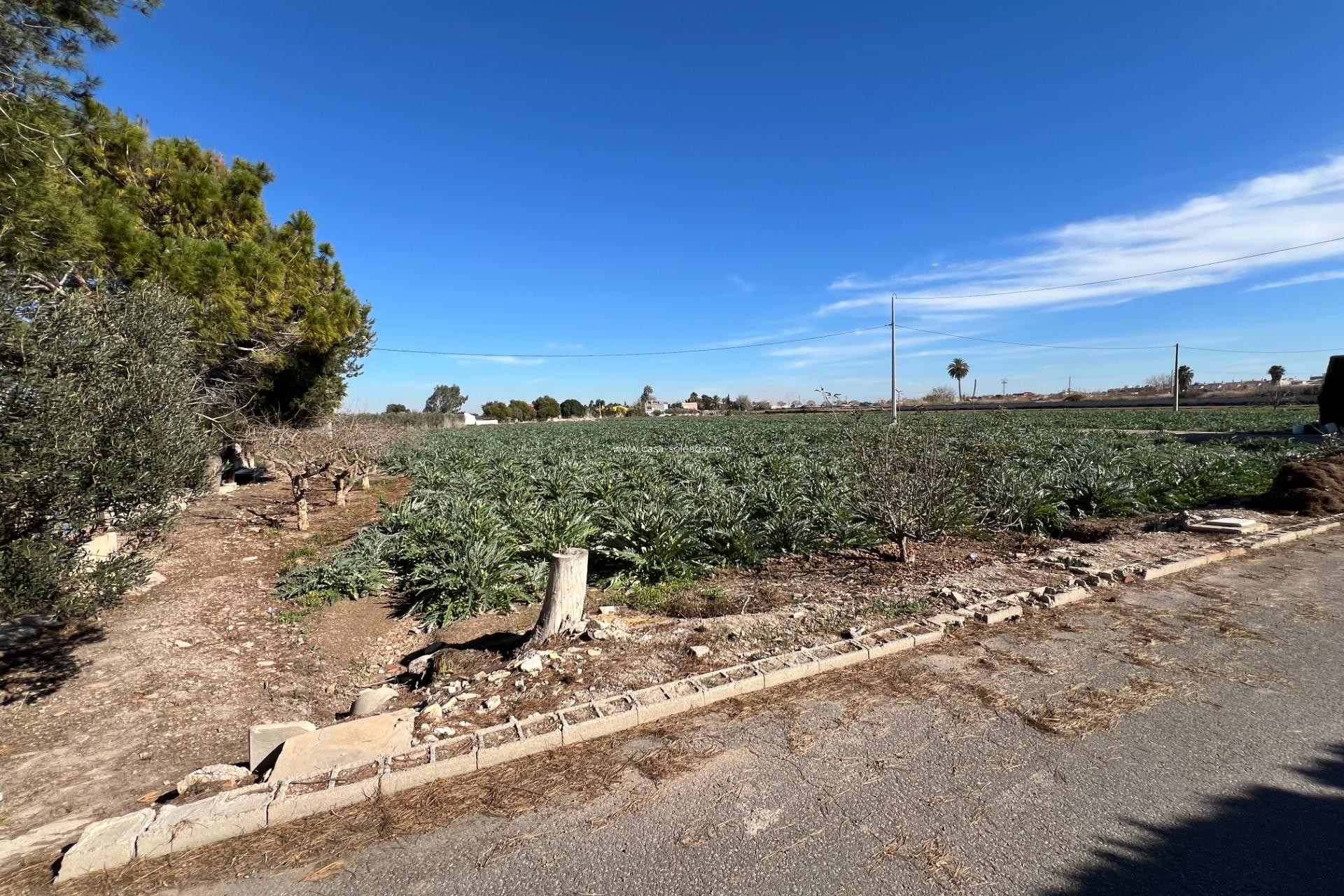 Herverkoop - Country Property/Finca - Dolores - Camino De La Cebada