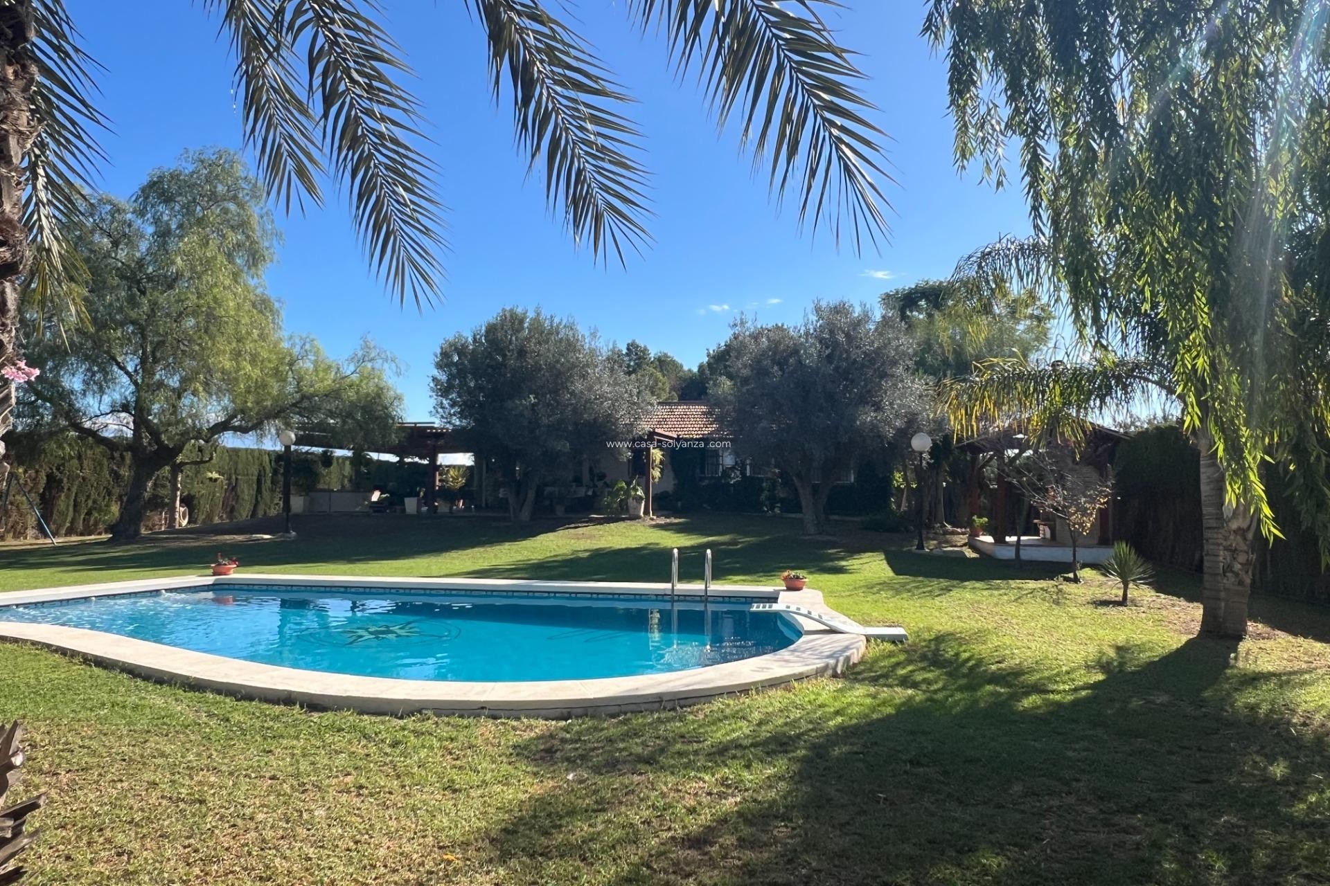 Herverkoop - Country Property/Finca - Dolores - Comunidad Valenciana