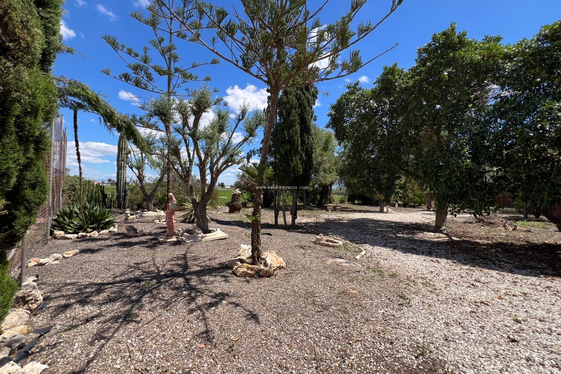 Herverkoop - Country Property/Finca - Dolores - Comunidad Valenciana