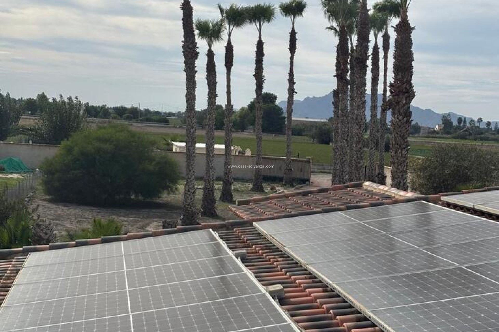 Herverkoop - Country Property/Finca - Dolores - Costa Blanca