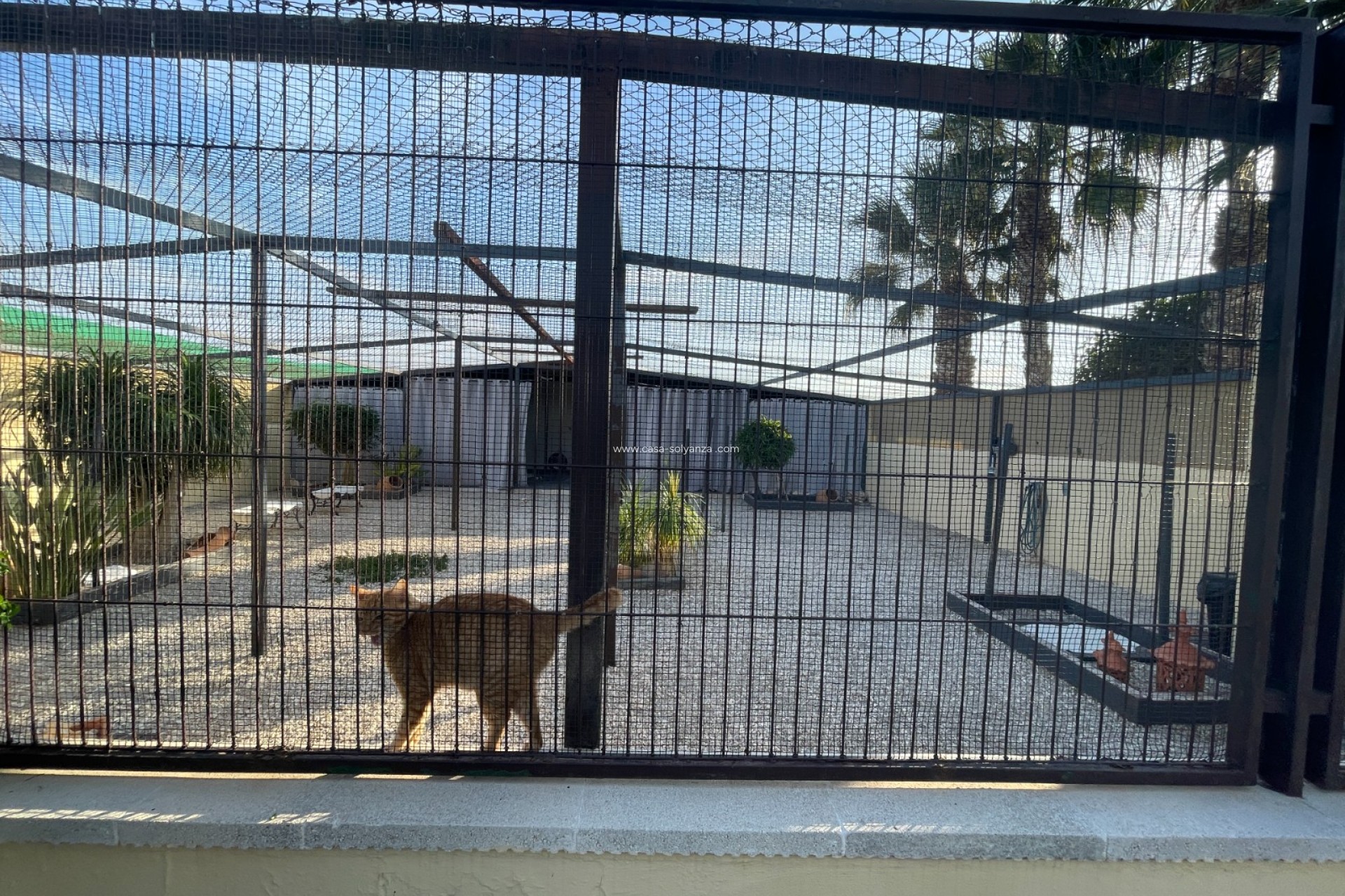 Herverkoop - Country Property/Finca - Elche - Costa Blanca