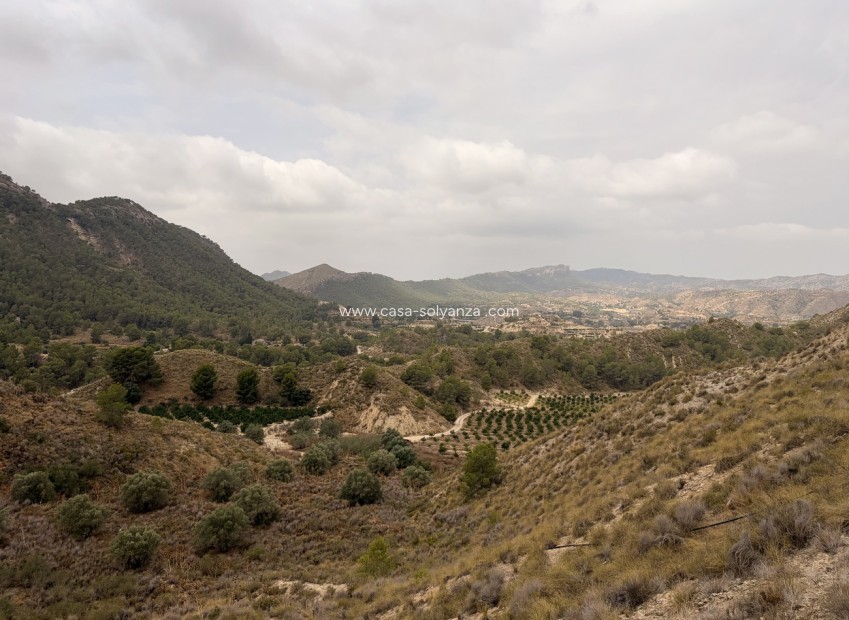 Herverkoop - Country Property/Finca - Gea Y Truyols - Sierra de Columbares Natural Park