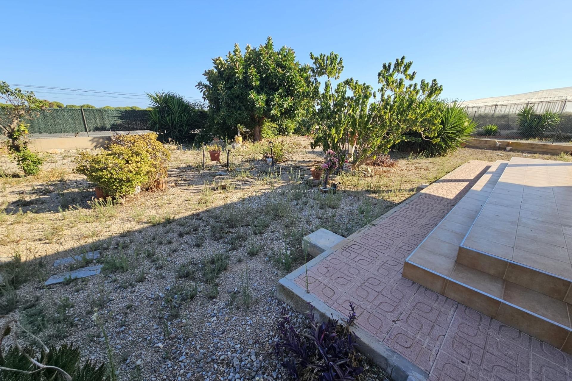 Herverkoop - Country Property/Finca - Guardamar del Segura - Buenavista