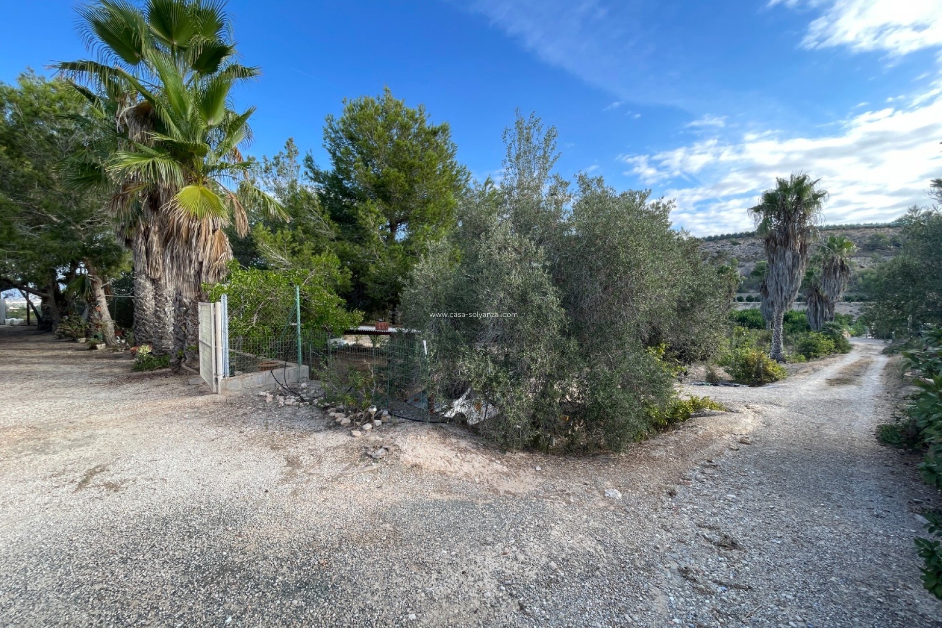 Herverkoop - Country Property/Finca - Jacarilla - Inland