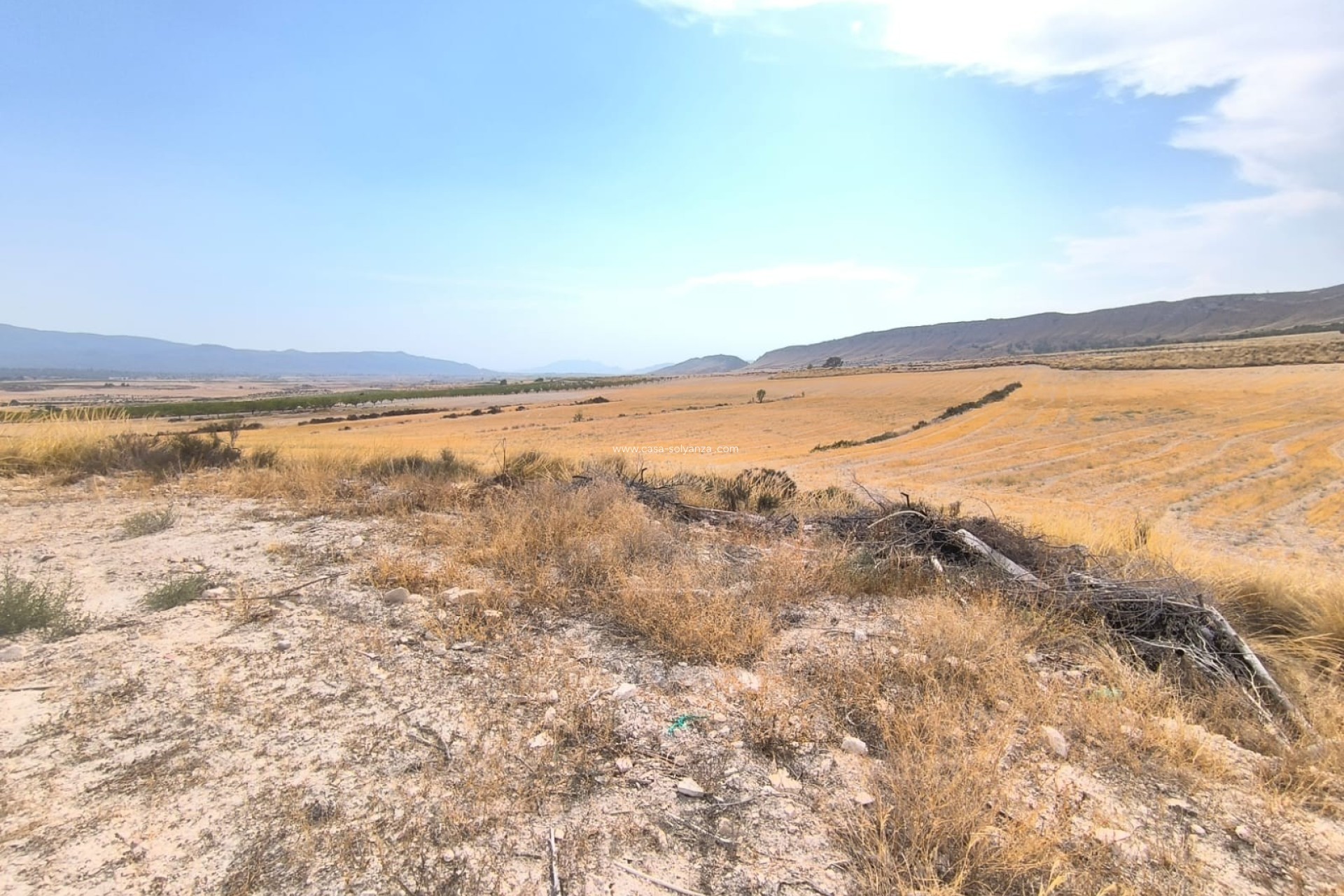 Herverkoop - Country Property/Finca - Jumilla - Inland