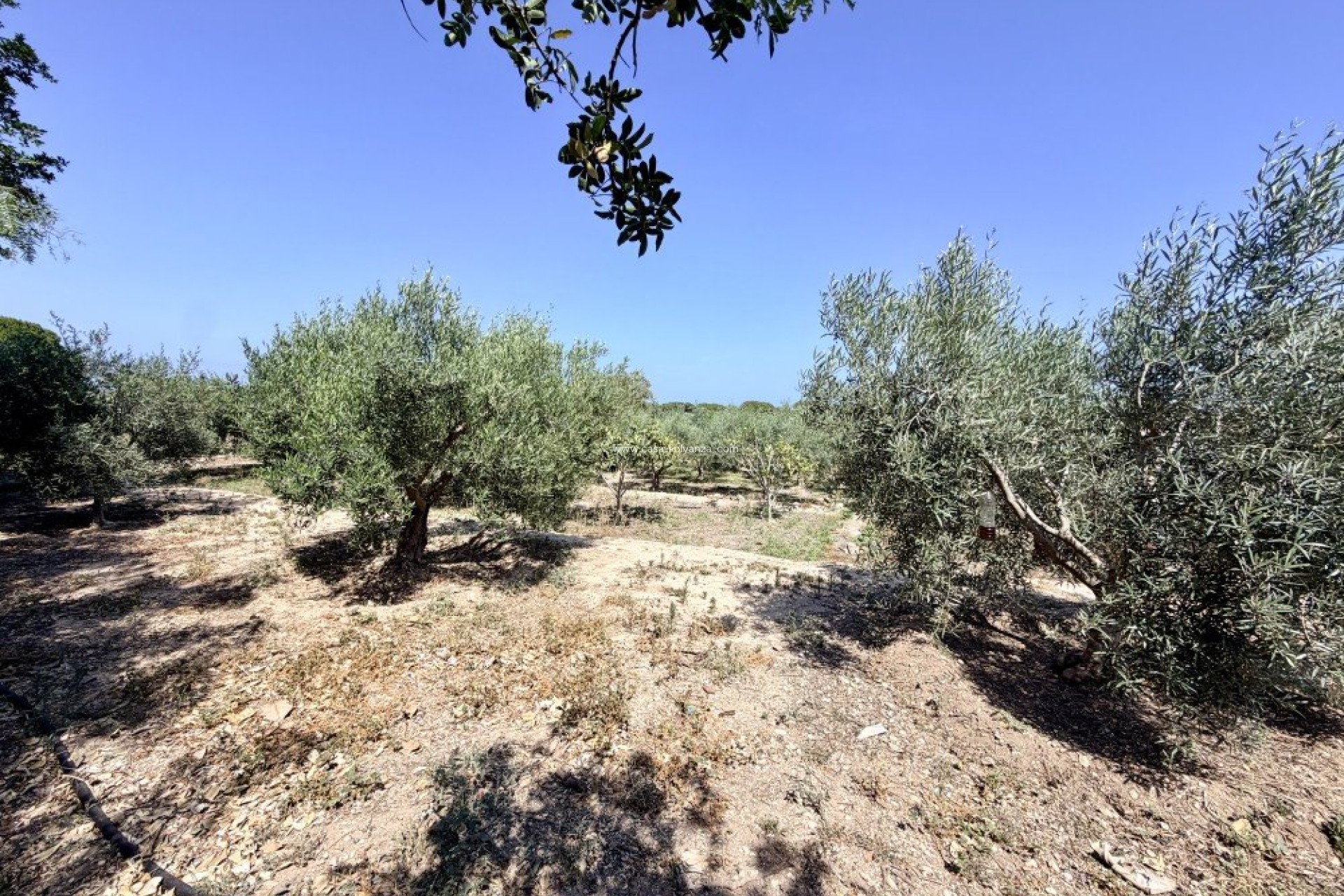 Herverkoop - Country Property/Finca - La Marina - Costa Blanca