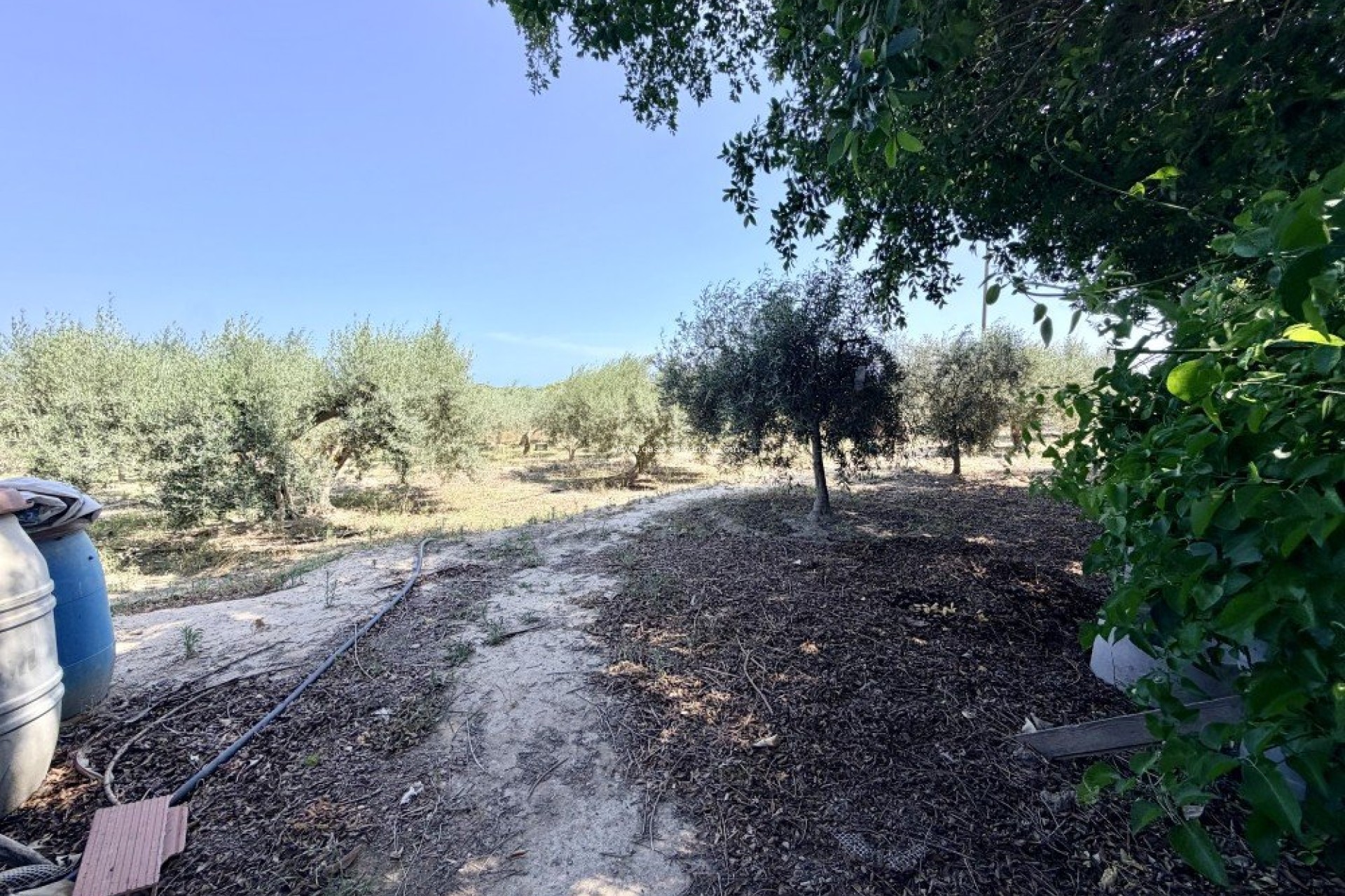 Herverkoop - Country Property/Finca - La Marina - Costa Blanca