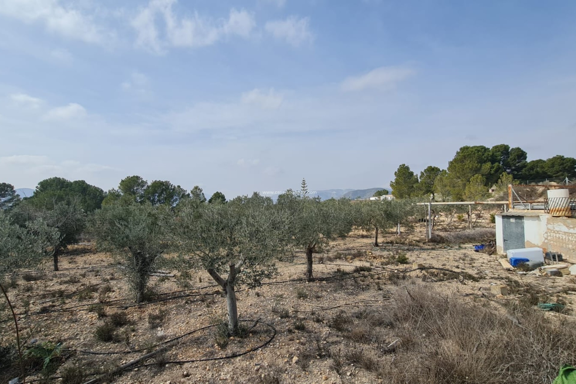 Herverkoop - Country Property/Finca - La Romana - Inland