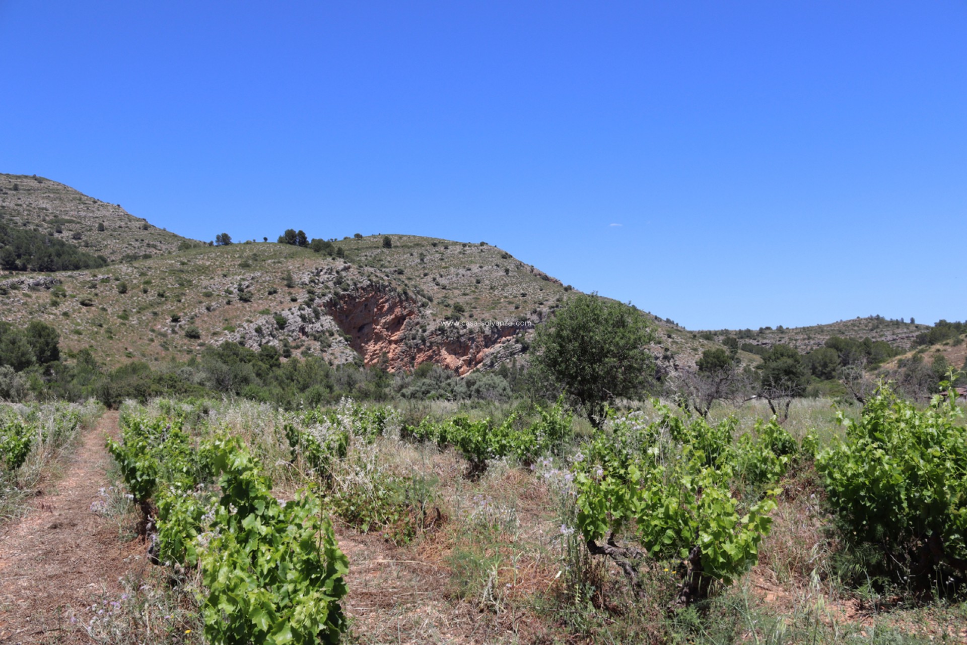 Herverkoop - Country Property/Finca - Lliber - Inland