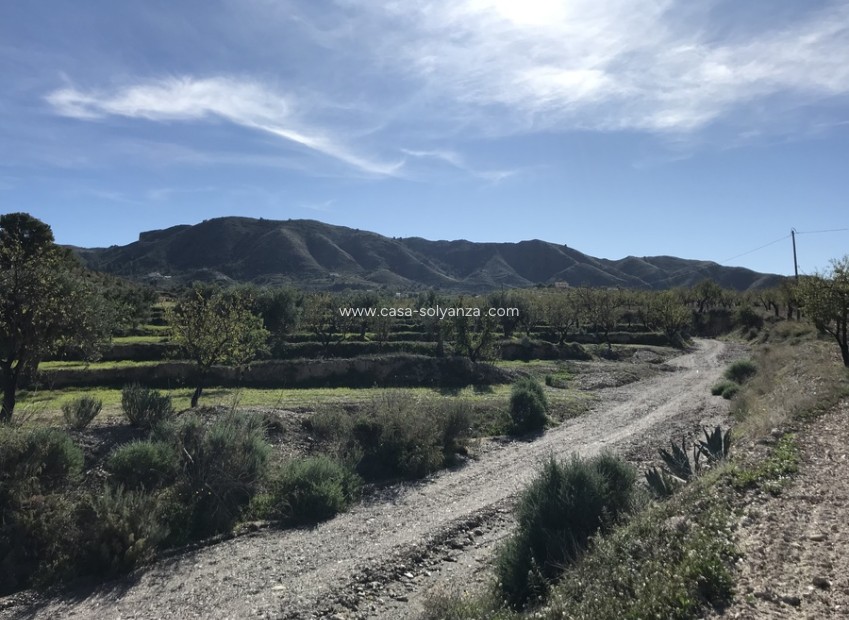 Herverkoop - Country Property/Finca - Lorca - Costa Calida