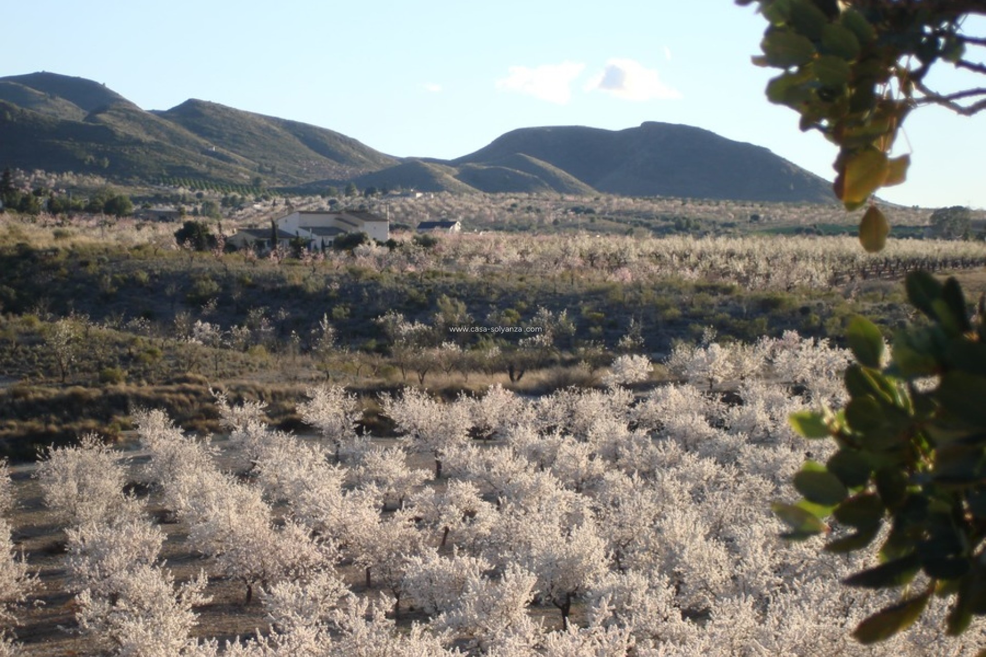 Herverkoop - Country Property/Finca - Lorca - Costa Calida