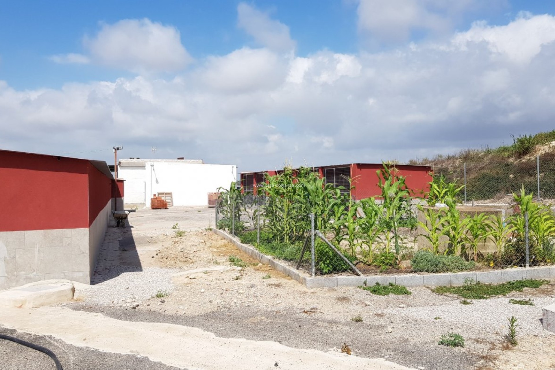 Herverkoop - Country Property/Finca - Los Montesinos