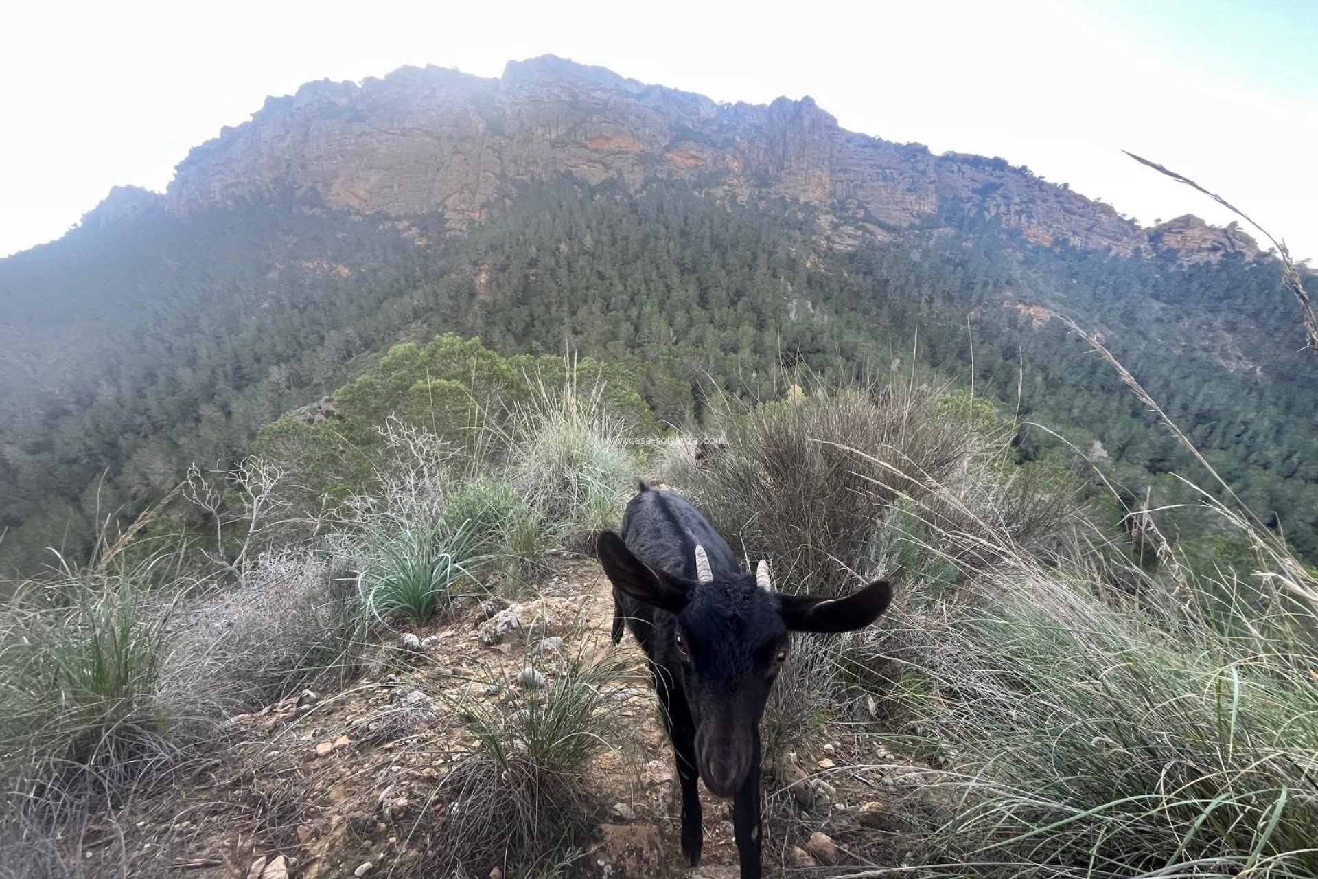 Herverkoop - Country Property/Finca - Murcia - Inland