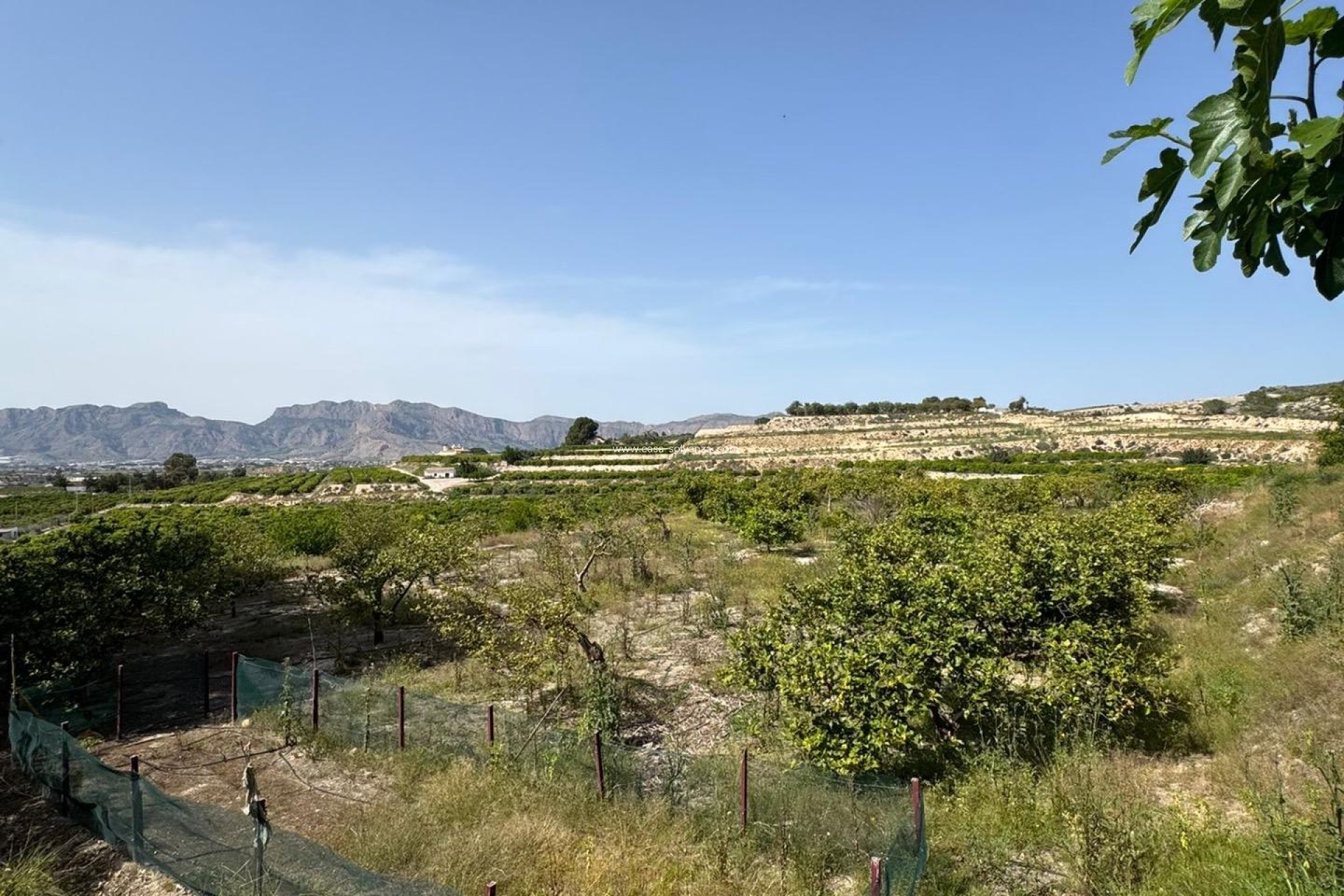 Herverkoop - Country Property/Finca - Orihuela - Arneva