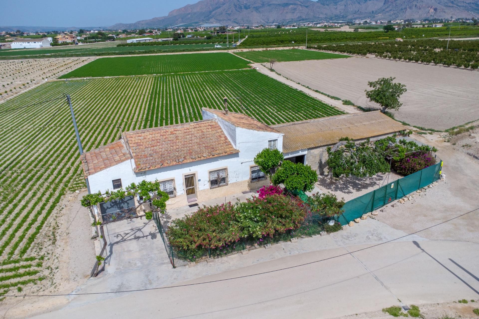 Herverkoop - Country Property/Finca - Orihuela - Desamparados