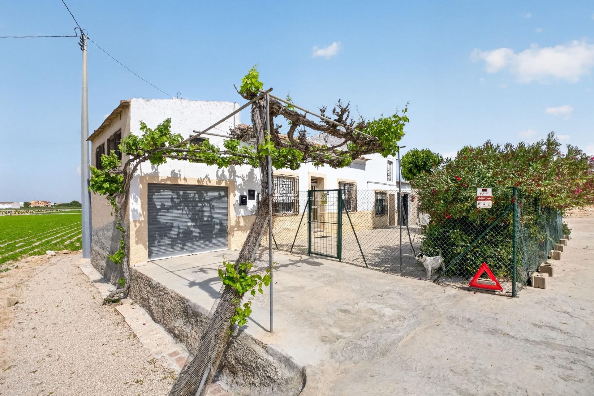 Herverkoop - Country Property/Finca - Orihuela - Desamparados
