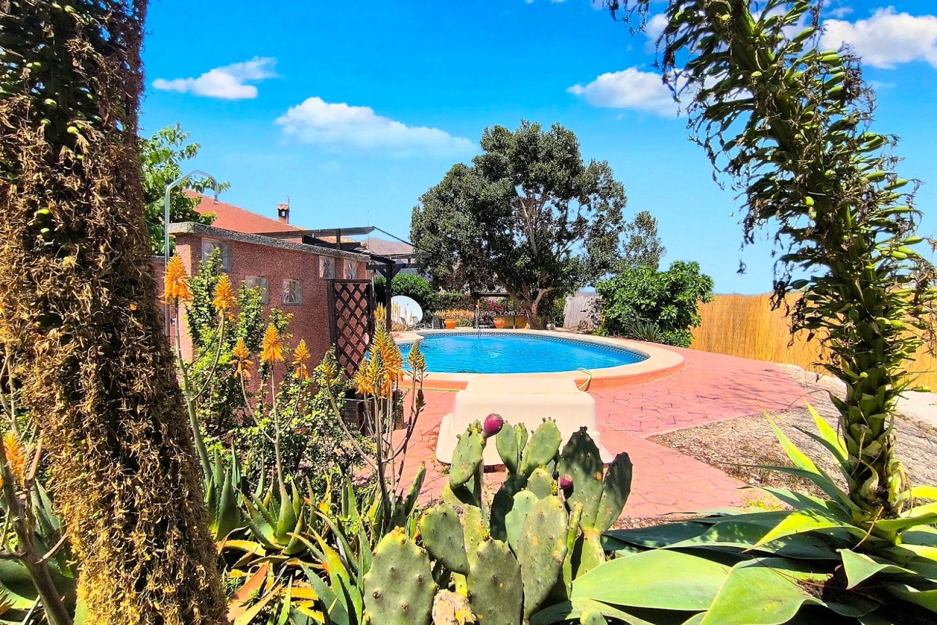 Herverkoop - Country Property/Finca - Orihuela