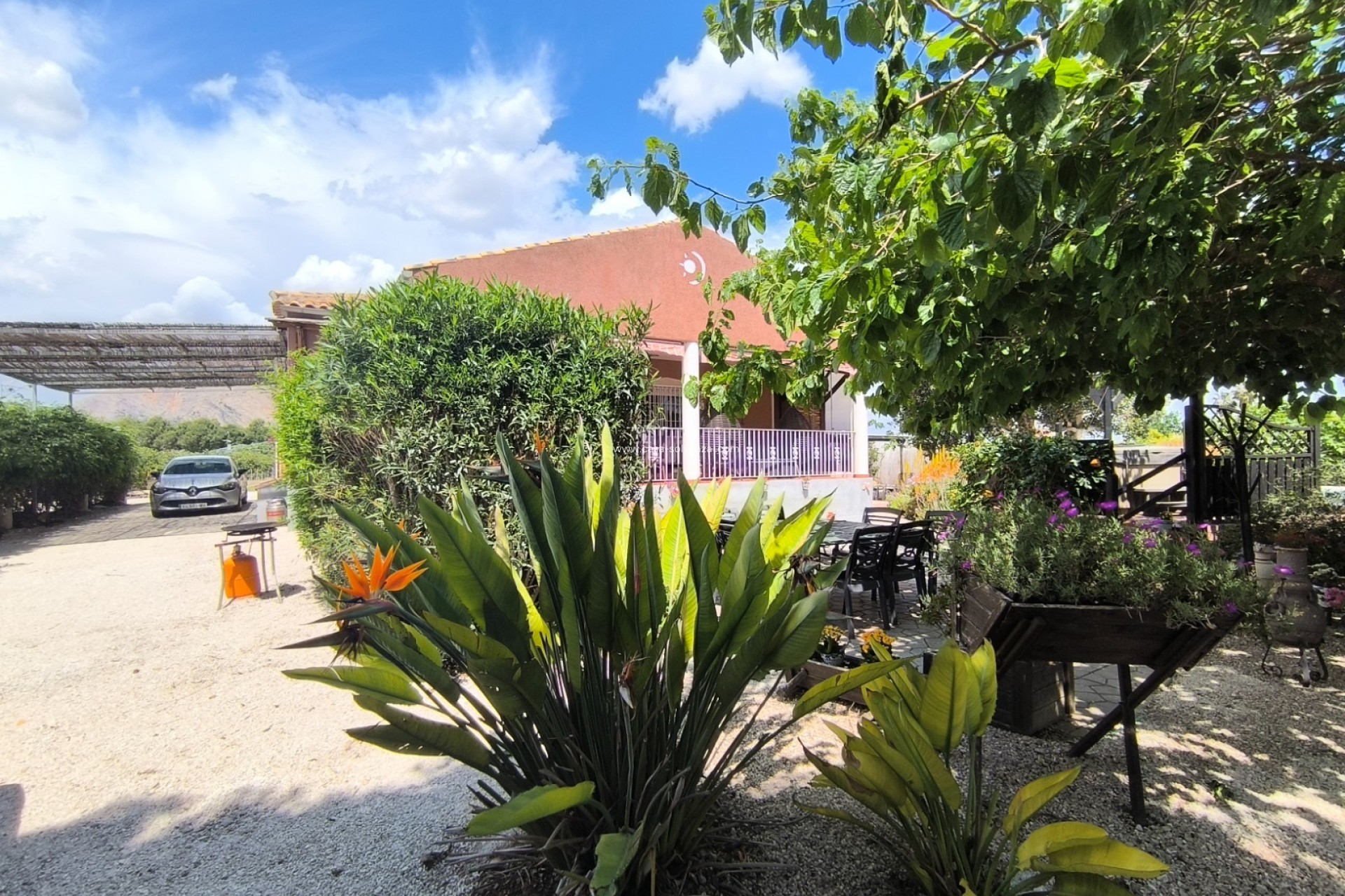 Herverkoop - Country Property/Finca - Orihuela