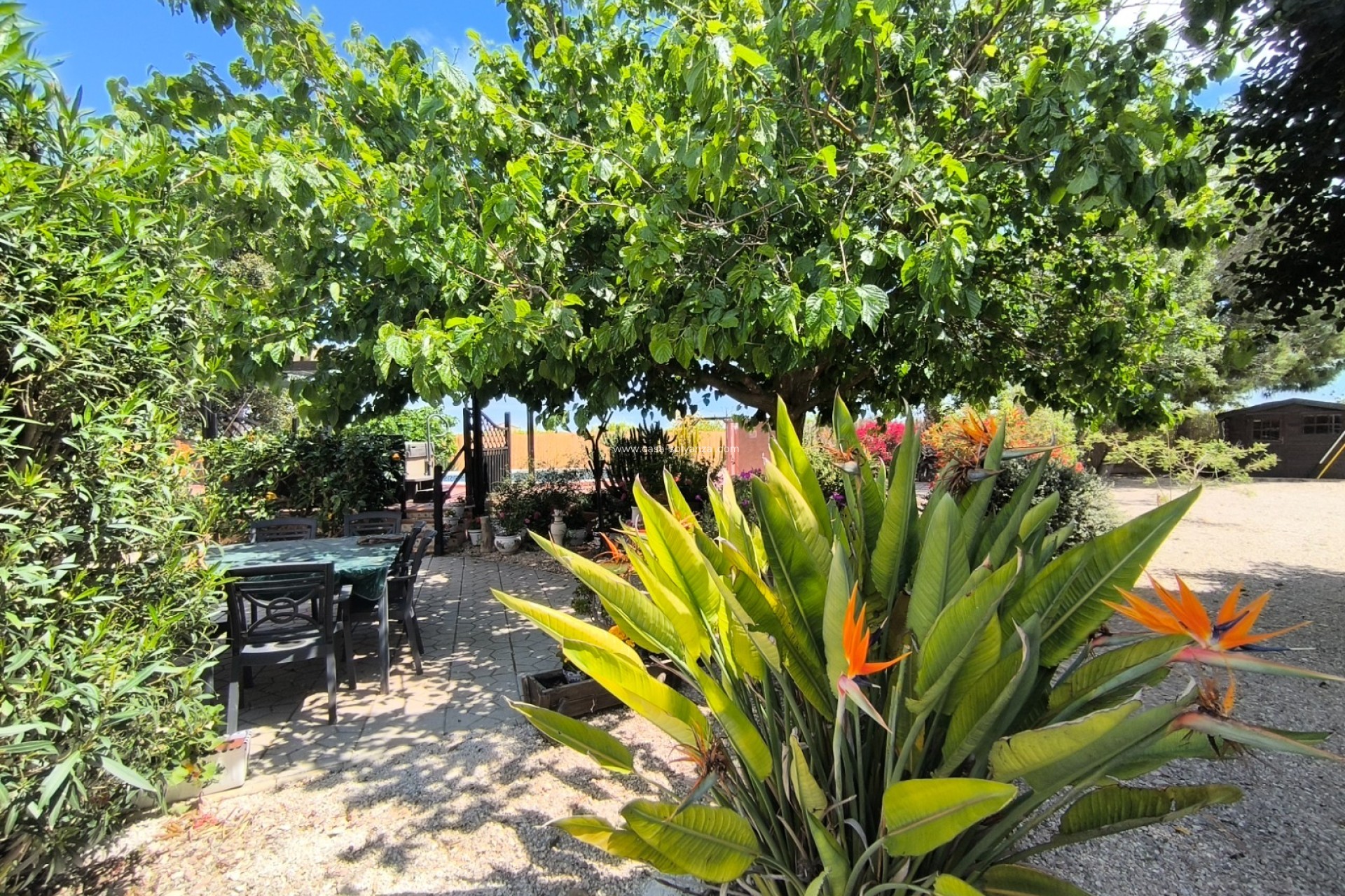 Herverkoop - Country Property/Finca - Orihuela