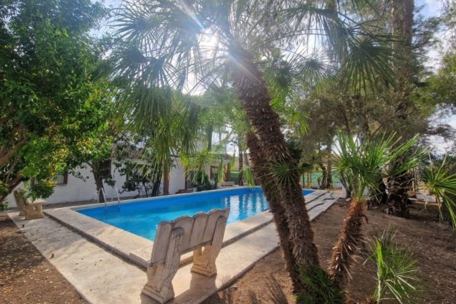 Herverkoop - Country Property/Finca - Orihuela