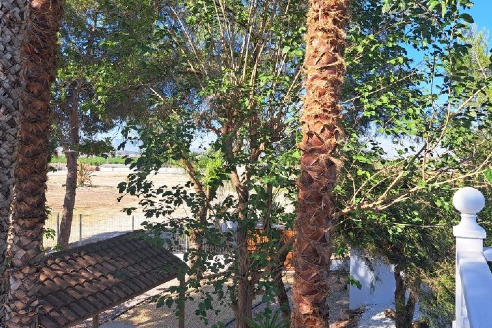 Herverkoop - Country Property/Finca - Orihuela