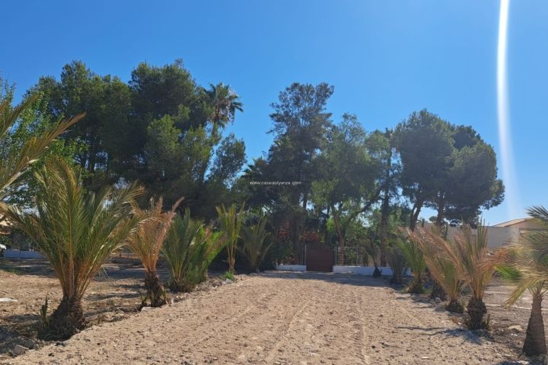 Herverkoop - Country Property/Finca - Orihuela