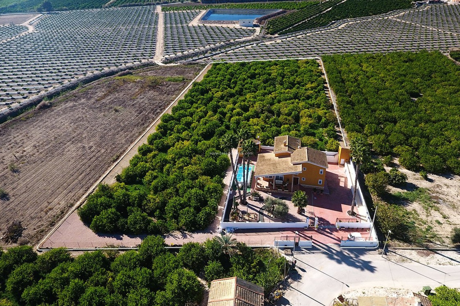 Herverkoop - Country Property/Finca - Orihuela