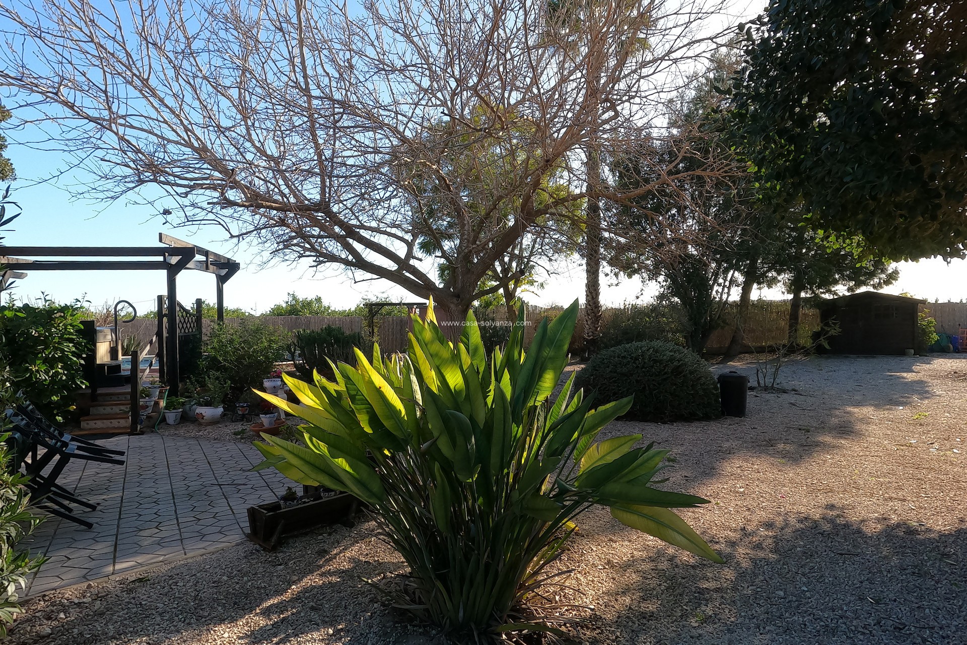 Herverkoop - Country Property/Finca - Orihuela