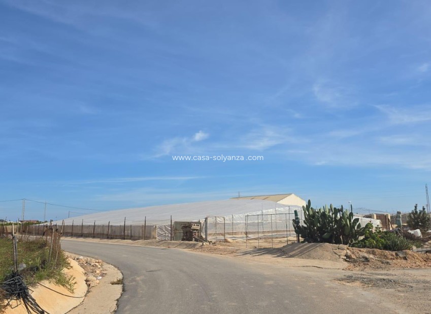 Herverkoop - Country Property/Finca - Pilar de la Horadada